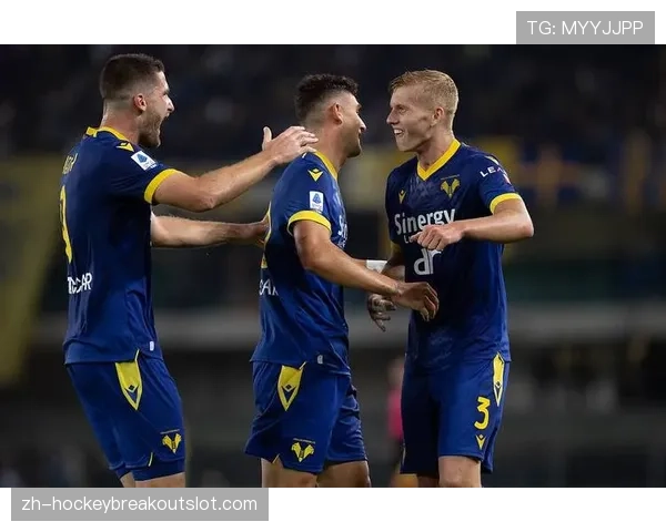 深度报道:维罗纳的保级困境与球队连续多个转会窗的决策失误