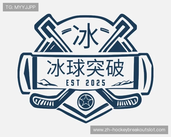 介绍冰球突破集团